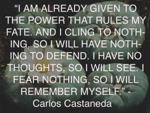 CARLOS CASTANEDA QUOTES MANY PATHS