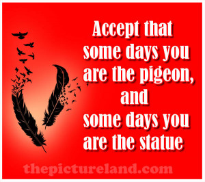 Pigeon Picture With Sayings About Someday In Life