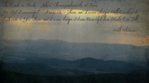 Walt Whitman Quotes HD Wallpaper 25