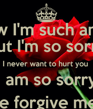 know I'm such an idiot But I'm so sorry I never want to hurt you I am ...