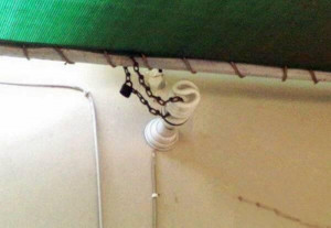 Funny Employee Evaluation Quotes Photos