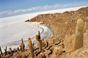 Bolívia: Salar boliviano é eleito símbolo turístico do país HD ...