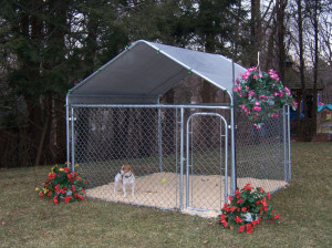 dog run kennel Dog Kennels