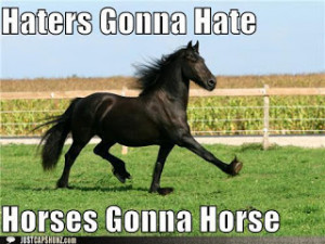 Horses Gonna Horse
