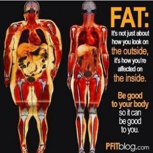 Fat: It’s not just about how you look on the outside, it’s how you ...