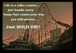 Life is a roller coaster, just handle every bump