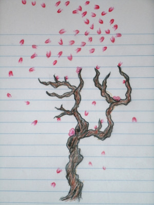 Cherry Tree Blossom Sketch