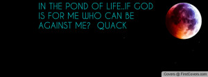 ... pond of life..if god is for me who can be against me? quack , Pictures