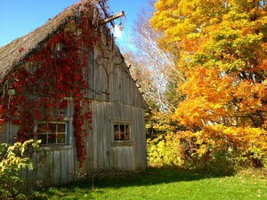 Autumn Quotes: 20 Inspirational Sayings About Fall + Photos