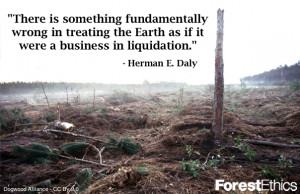 saveplanetearth:Forest Ethics#quotes #conservation #deforesation