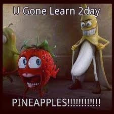 Kevin Hart quote. too funny!