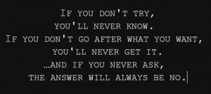 try you'll never know if you don't go after what you want you'll never ...