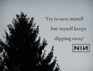 Nine Inch Nails - Into the Void #song #lyrics