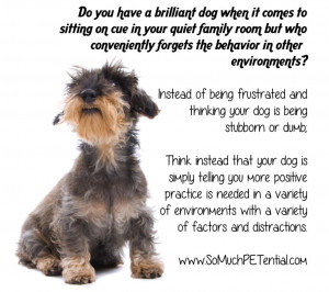 Dog Lovers Quotes Dog training quote