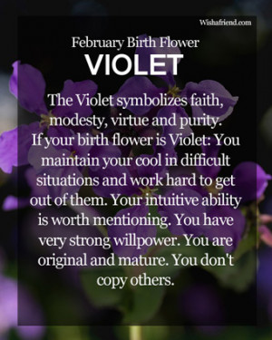 February Birth Flower : Viola
