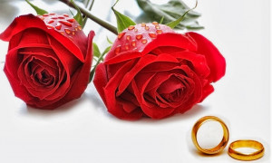 Happy Propose Day 2014 English Hindi SMS, Quotes, Wishes, Pictures ...