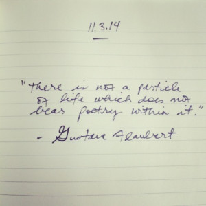 gustave flaubert quote, poetry, particles and life