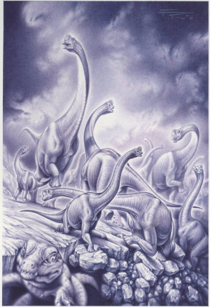 Cuc The Perfect Storm Old