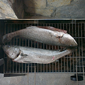 Posted by azakk on Jul 10, 2014 @ 09:17