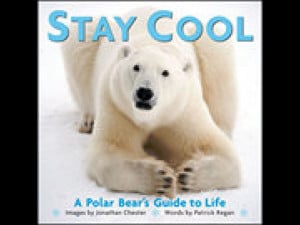 Stay Cool: A Polar Bear's Guide to Life Book