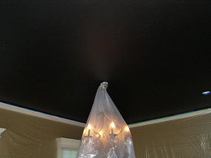 flat black paint ceiling