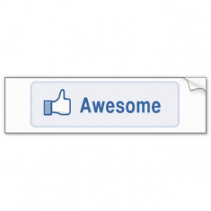 Facebook Famous Bumper Sticker