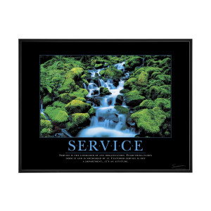 Service Waterfall Mini Motivational Poster (732806)