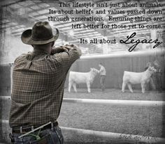 cattle quotes pinned by emily lynn more cattle show quotes livestock ...