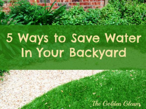 Here are five ways our family saves water in our backyard.
