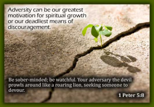 Motivational Adversity Picture Quotes And Sayings By Famous People