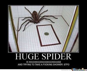 Huge Spider