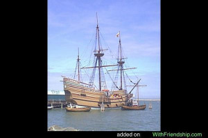 MayflowerPictures Photo Gallery added by iloveindia