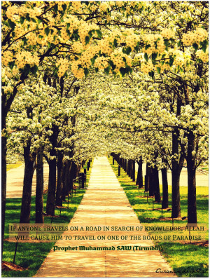 search for knowledge