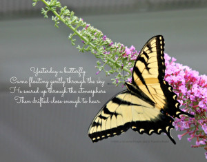 Yesterday a butterfly...