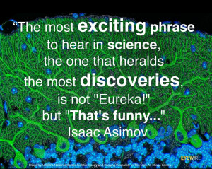 The most exciting phrase to hear in science…