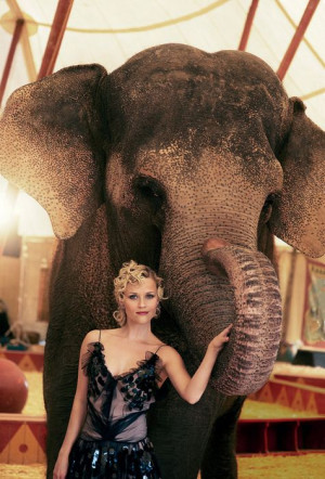 reese and tai the elephant from water for elephants