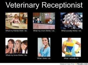 Veterinary Receptionist... - Meme Generator What i do
