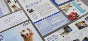 Battersea Dogs & Cats Home - Dino campaign direct mail