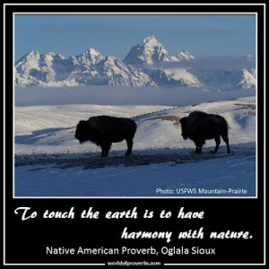 Native American Proverb, Oglala Sioux [19076]