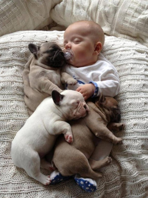 French bulldog puppies nap with baby.