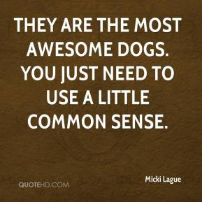 are the most awesome dogs. You just need to use a little common sense ...
