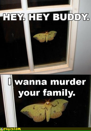 Funny Creepy Scary Moth Window