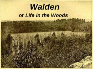 Romanticism: The Transcendentalists: Thoreau at Walden Pond.ppt
