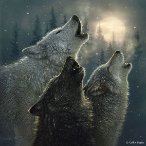Wolf Paintings - Wolf Art Prints