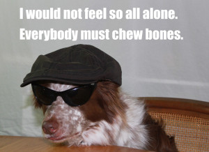 Wanna go for a ride on my motorcycle?