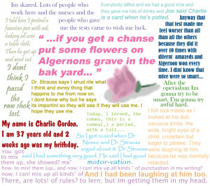Flowers For Algernon by Chocky-Pocky