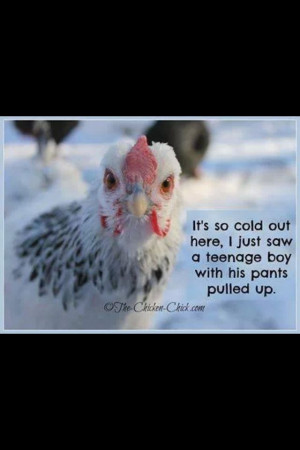 Cold weather funny