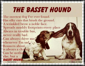 to try to take the dog s food away even sweet basset hounds can be ...