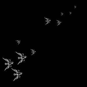 Saywecanfly // The Song Of The SparrowFor bright-eyes-and-little ...