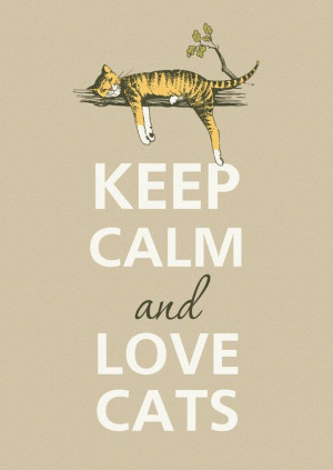... Cats, Cats Love Quotes, Keep Calm Quotes Animals, Keep Calm And Love